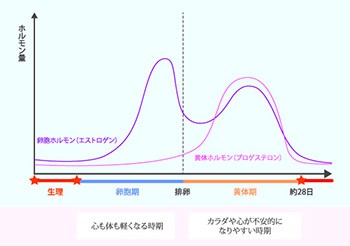 布ナプキン