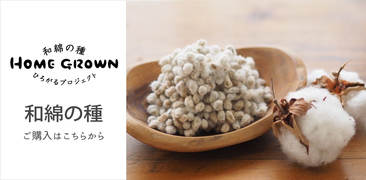 和綿の種 和綿プロジェクト用 メイドインアース オーガニックコットン製品と布ナプキン 天然せっけんの専門店 直営
