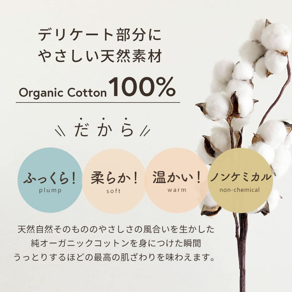 布ナプキン 昼用 レギュラー 4枚セット　オーガニックコットン　メイドインアース