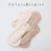 布ナプキン 夜用 ロング 2枚セット