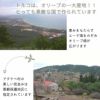 まあるいせっけん【顔・髪・カラダ用】～オリーブオイルせっけん
