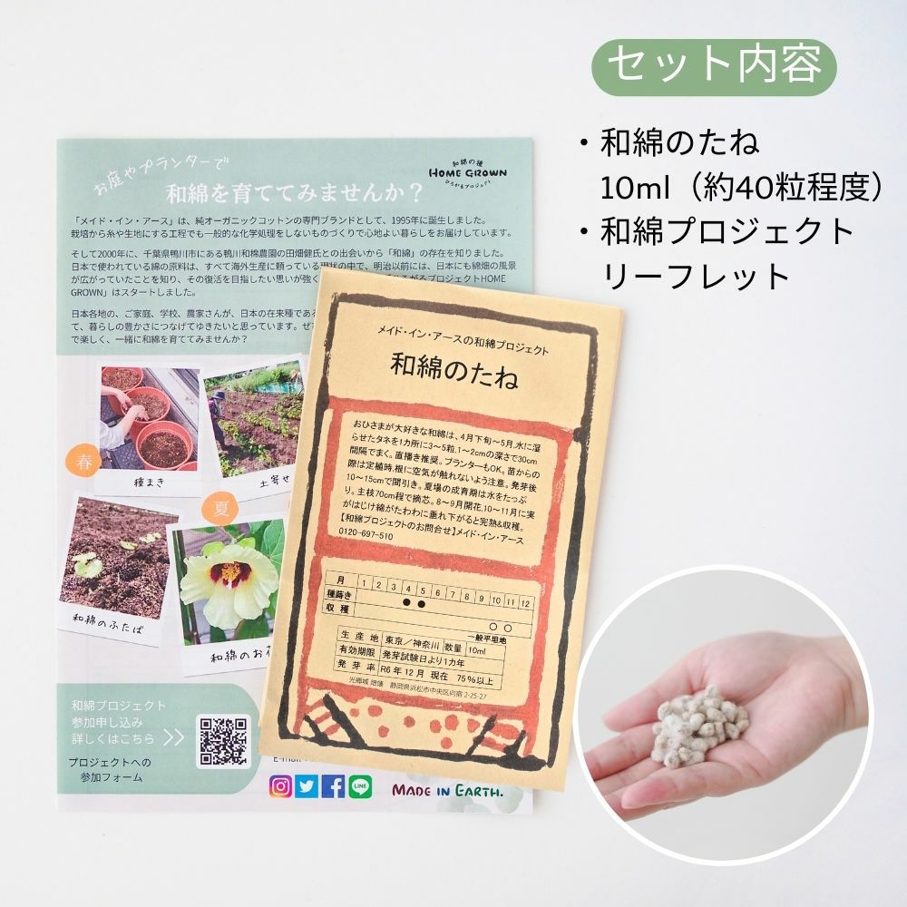 和綿のたね　メイドインアース　オーガニックコットン