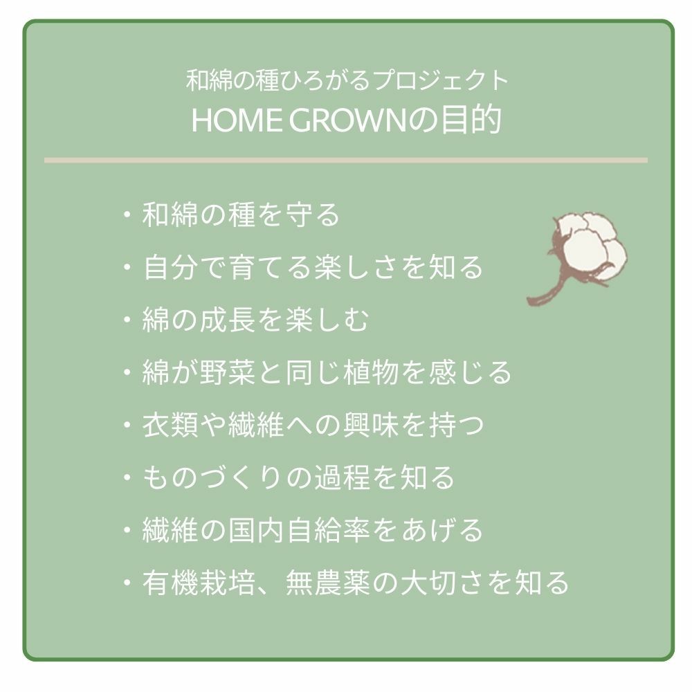 和綿のたね　メイドインアース　オーガニックコットン