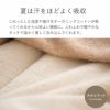 タオルケット＆綿毛布　セット　シングル　オーガニックコットン　メイドインアース